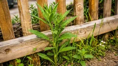 Wo der Trimmer nicht hinkommt: Wirksame Methoden zur Unkrautbekämpfung am Zaun