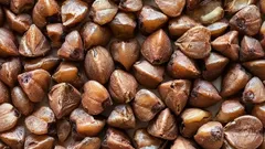 Ein Ernährungsberater hat das am meisten unterschätzte Superfood genannt: Es ist billiger als Chia und wirkt besser