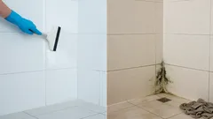 Schimmel im Badezimmer: 7 Fehler beim Putzen, die dazu führen, dass er immer wieder auftritt