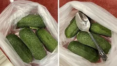 Knackige Gurken bis zu 10 Tage lang? Das alles dank eines einfachen Esslöffels