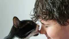 Katzengewohnheiten: Warum das Lecken mehr ist als nur eine Zärtlichkeit