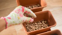 Sie haben Blähton jahrelang falsch verwendet: Hier erfahren Sie, wozu er eigentlich dient