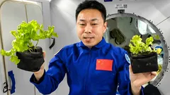 Im Weltraum hat man gelernt, Atemluft herzustellen: ein Durchbruch für den Mars